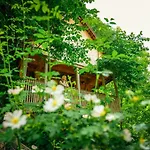 אוהל מפואר Garden Village 3*