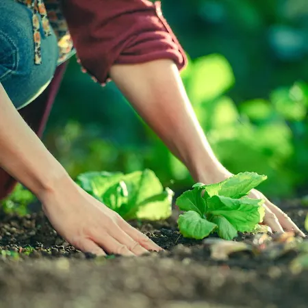 אוהל מפואר Garden Village 3*