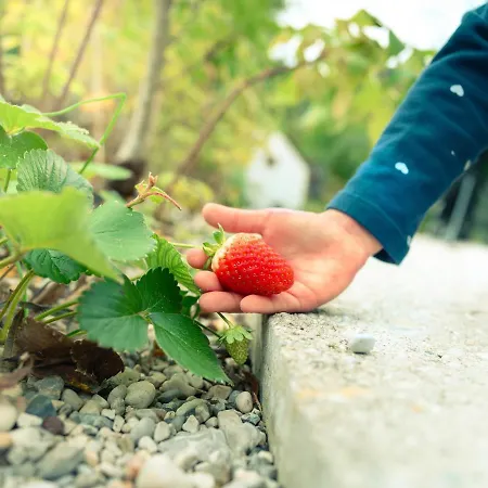 Garden Village ラグジュアリーテント ブレッド