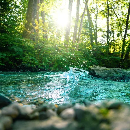 אוהל מפואר Garden Village 3*