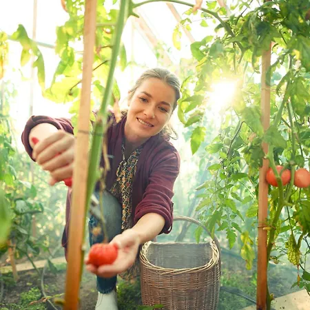 Garden Village בלד