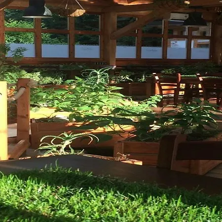 Роскошный шатер Garden Village Блед
