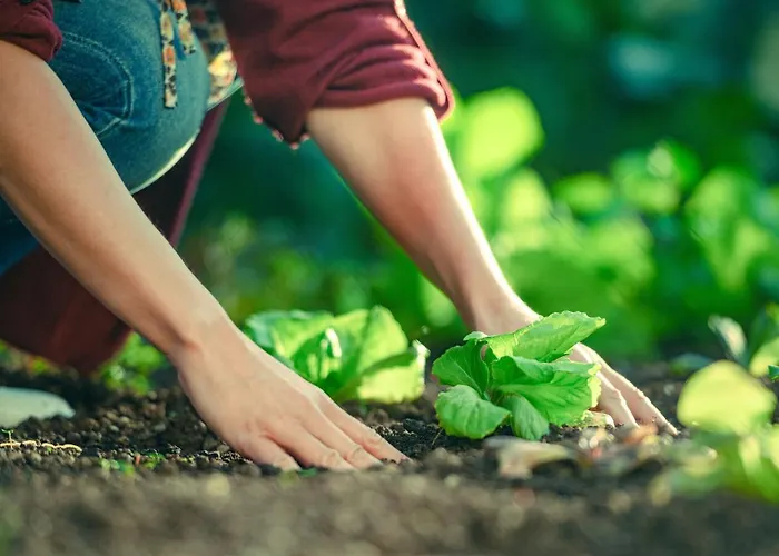 Luksusowy namiot Garden Village 3*