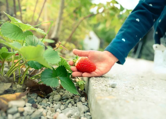 Garden Village Luksusowy namiot Bled